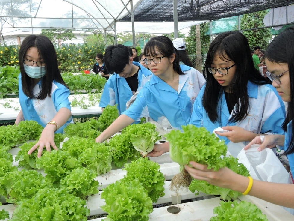 kh-nong-nghiep-cong-nghe-cao-cu-chi-Theme-Travel