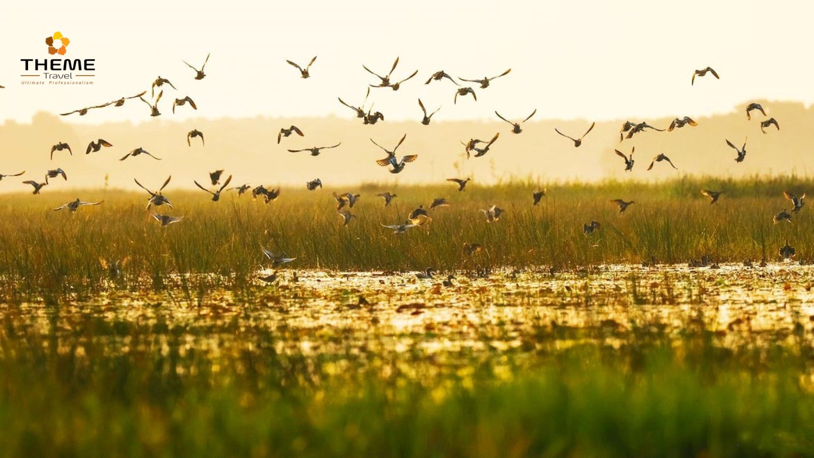 tour mùa nước nổi - Theme Travel